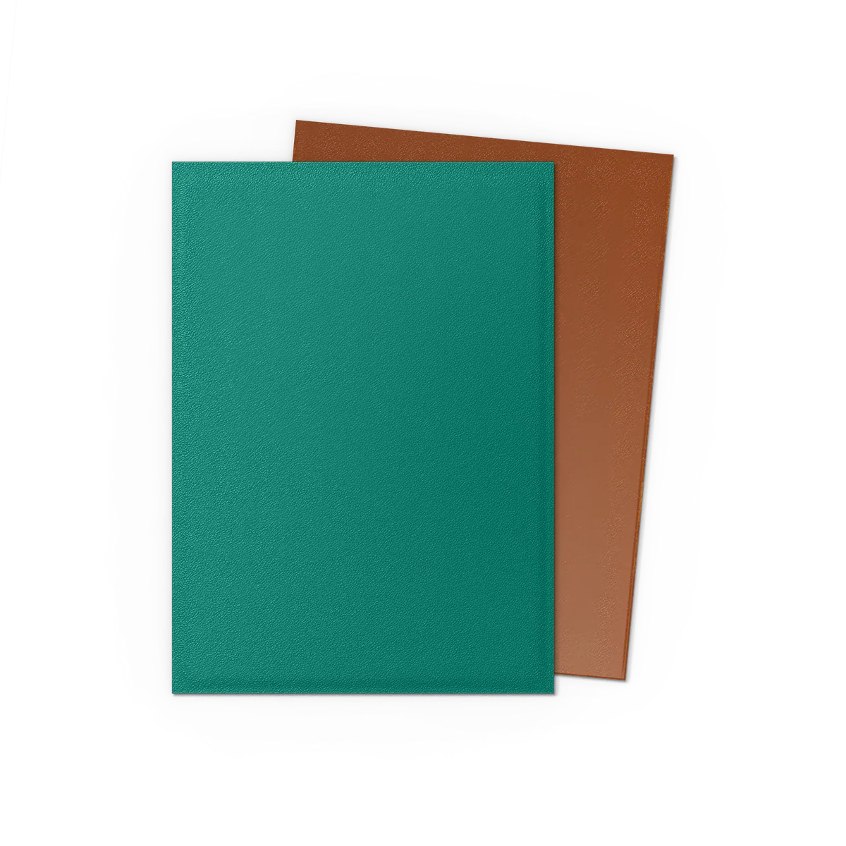 Dragon Shield Best Sellers & New Colors 100 Count