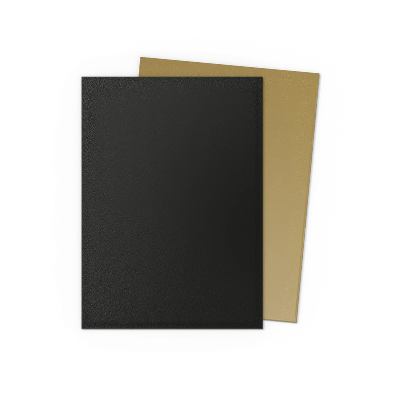 Dragon Shield Best Sellers & New Colors 100 Count
