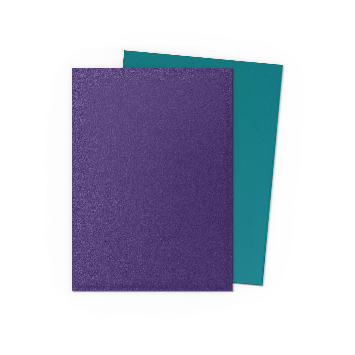 Dragon Shield Best Sellers & New Colors 100 Count