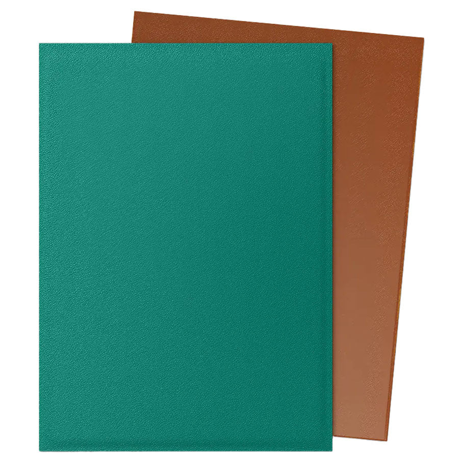 Dragon Shield Best Sellers & New Colors 100 Count