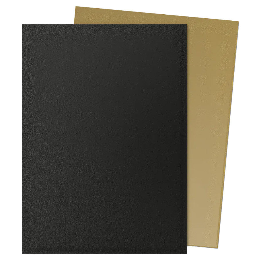 Dragon Shield Best Sellers & New Colors 100 Count