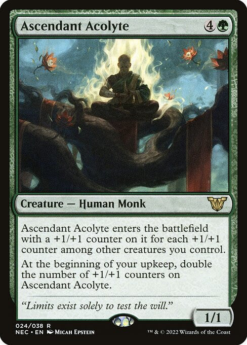 Magic: The Gathering card “Ascendant Acolyte” from custom MTG Commander Deck Minsc & Boo, Timeless Heroes by Moonveil Games, focused on casual EDH play.